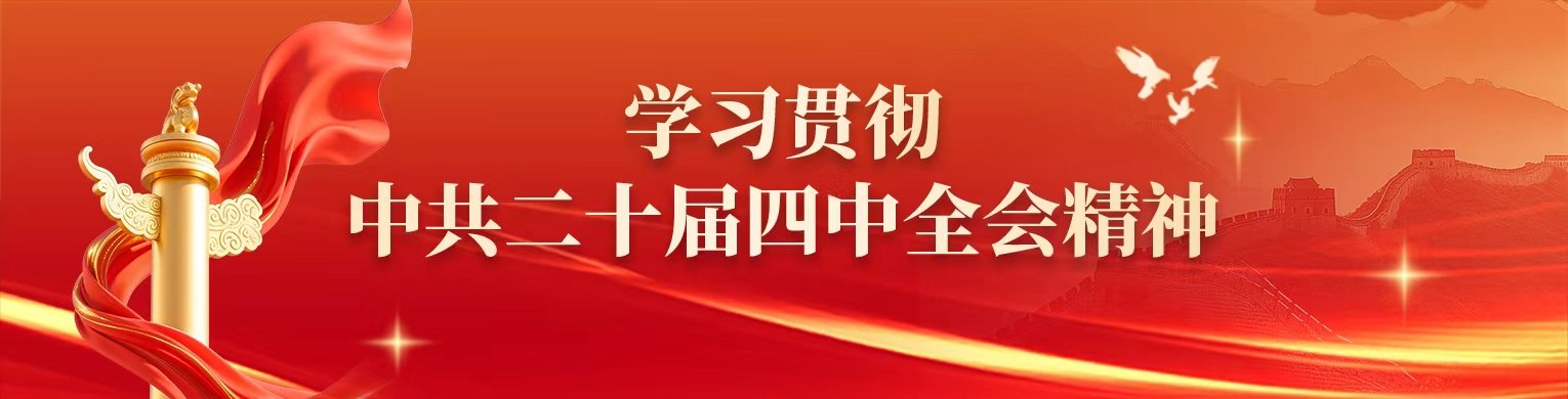 习近平：关于《中共中央关于制定国民...